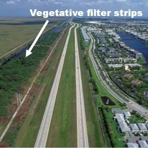 thumbnail for publication: What Else Can Surface Water Buffer Systems Do? Exploring Multiple Ecosystem Services